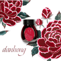 Colorverse Ink Bottle - Min - Hwa Series - Dan Hong - 30ml - Pen Boutique Ltd