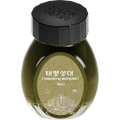 Colorverse Kingdom Ink - Project No. 19 - 30ml - Pen Boutique Ltd