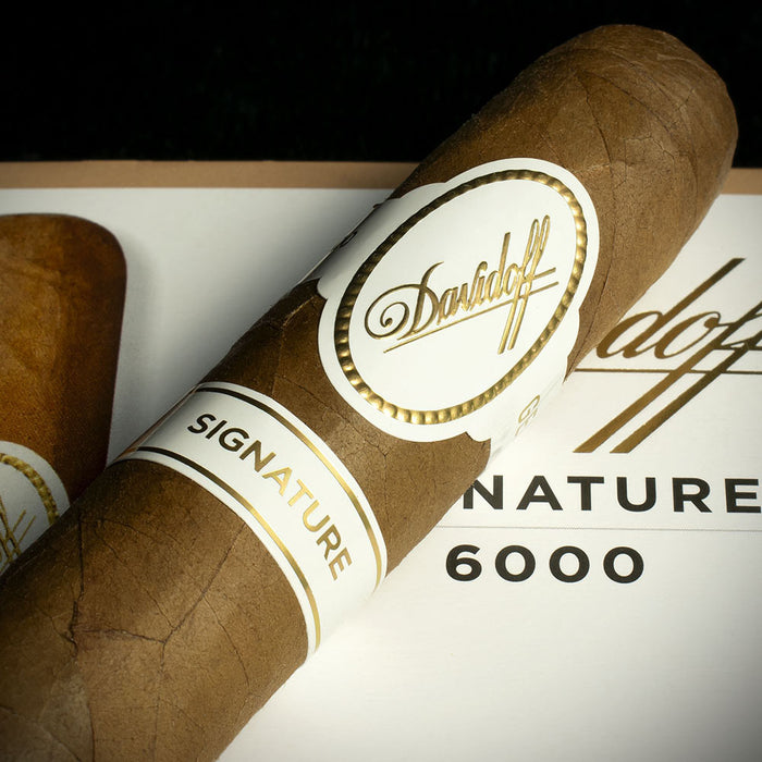 Single - Davidoff Signature 6000 Robusto Cigar