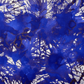Diamine Ink Bottle - 2019 Inkvent - Blue Edition - Sheen Ink Bottle - Festive Cheer - 50ml - Pen Boutique Ltd