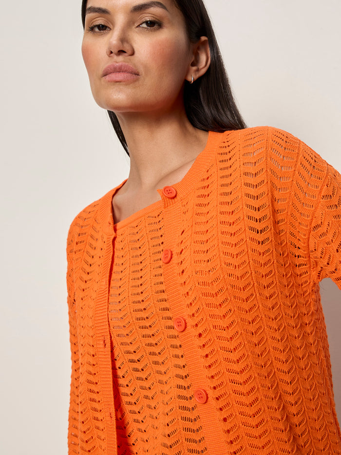 A woman with straight dark hair wears Sanctuary Clothing's "for keeps pointelle cardigan" in hibiscus orange over a matching top, standing against a plain light background with a neutral expression, looking slightly downward.
