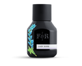 painted bottle of lady bird