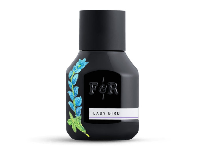 painted bottle of lady bird