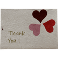 Monk Paper Thank You Note with Cornflower Petal Envelope - pack of 12 - Pen Boutique Ltd