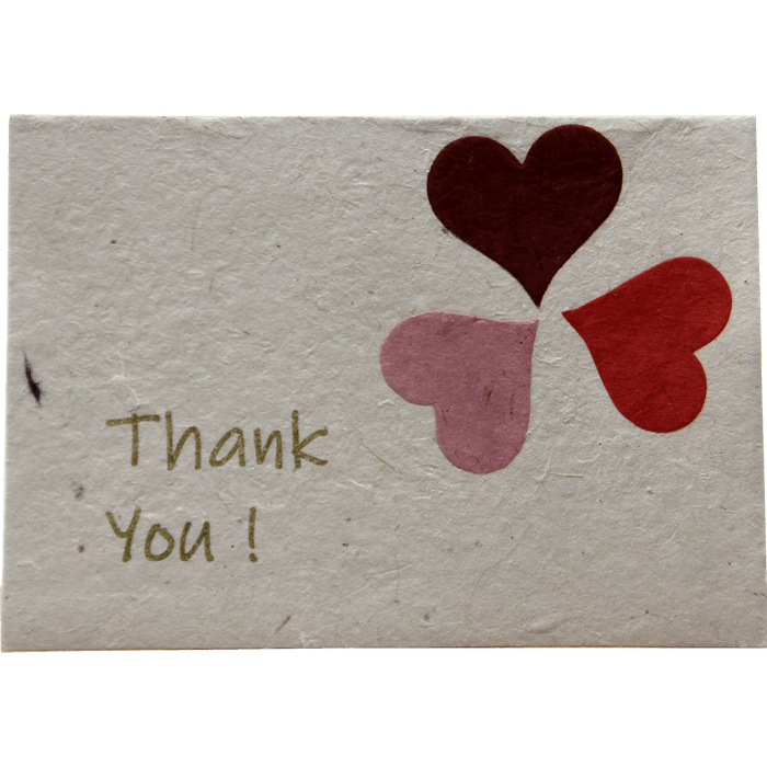 Monk Paper Thank You Note with Rose Petal Envelope - pack of 12 - Pen Boutique Ltd