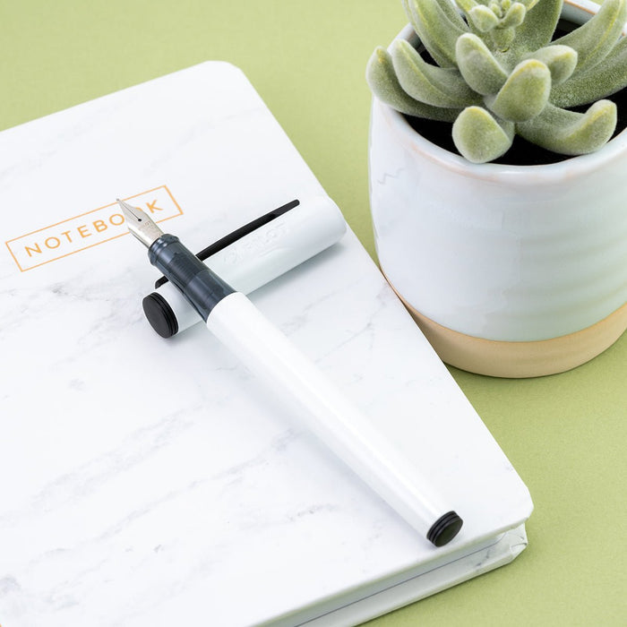 Pilot Explorer Fountain Pen - White - Pen Boutique Ltd