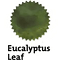 Robert Oster Signature Ink Bottle - Eucalyptus Leaf - 50ml - Pen Boutique Ltd
