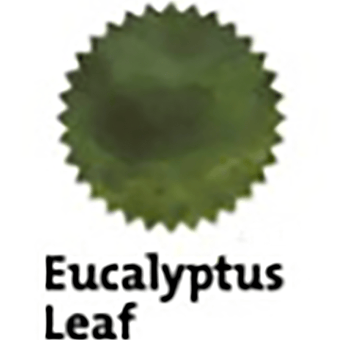 Robert Oster Signature Ink Bottle - Eucalyptus Leaf - 50ml - Pen Boutique Ltd