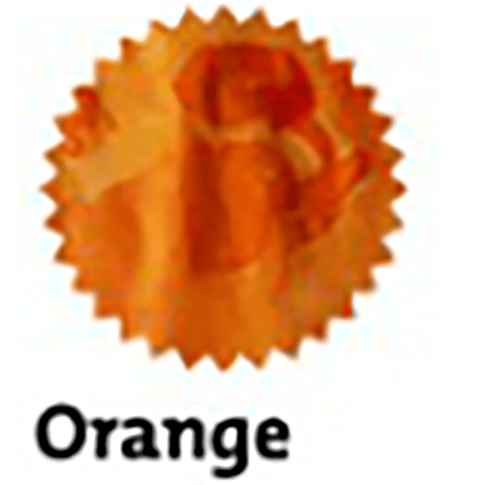 Robert Oster Signature Ink Bottle - Orange - 50ml - Pen Boutique Ltd