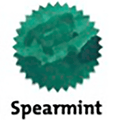 Robert Oster Signature Ink Bottle - Spearmint - 50ml - Pen Boutique Ltd