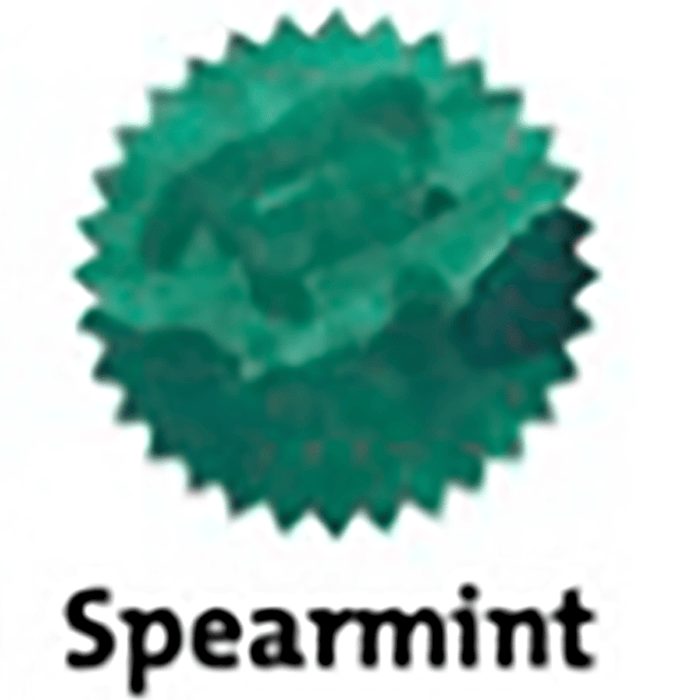 Robert Oster Signature Ink Bottle - Spearmint - 50ml - Pen Boutique Ltd