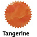 Robert Oster Signature Ink Bottle - Tangerine - 50ml - Pen Boutique Ltd