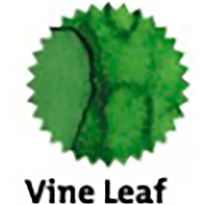Robert Oster Signature Ink Bottle - Vine Leaf - 50ml - Pen Boutique Ltd