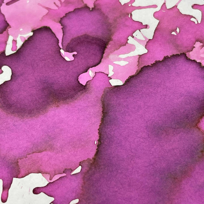 Sailor Ink Studio Bottled Ink - 237 - 20ml - Pen Boutique Ltd