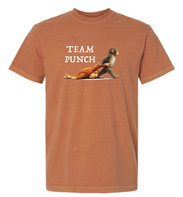 Team  Punch