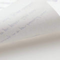 Tomoe River - Loose White Sheets - A5 - Pen Boutique Ltd