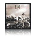 Vinyl- Permanent Waves